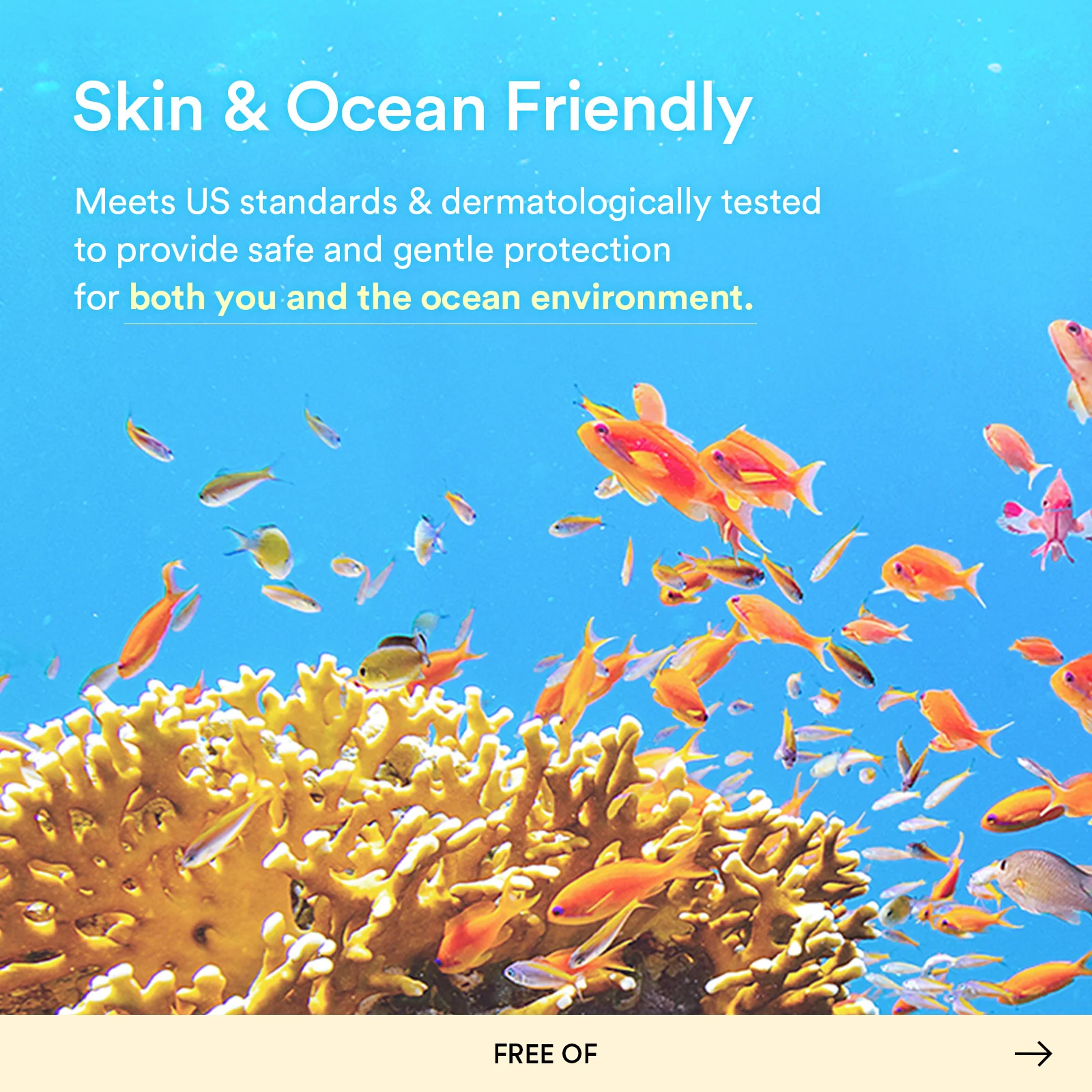 Airy Clear SPF Duo - Image 11