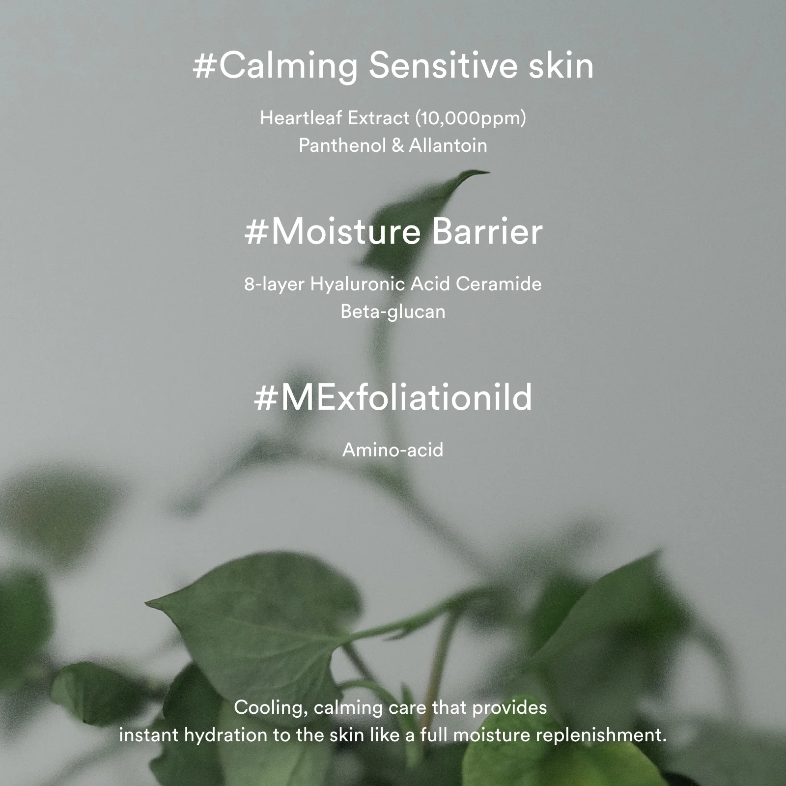 Heartleaf cream Calming tube - Image 4