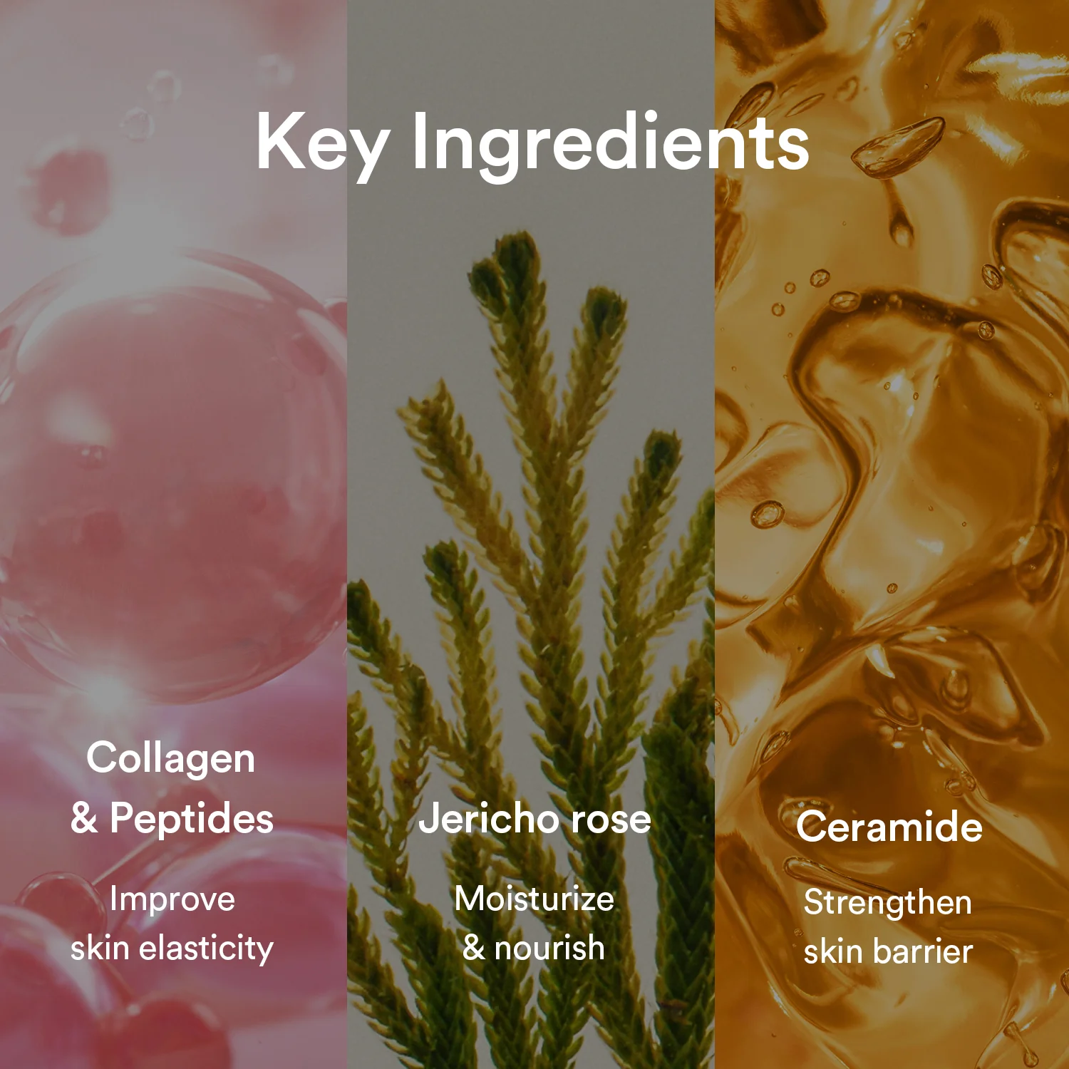 Collagen gel mask Jericho rose jelly - Image 9