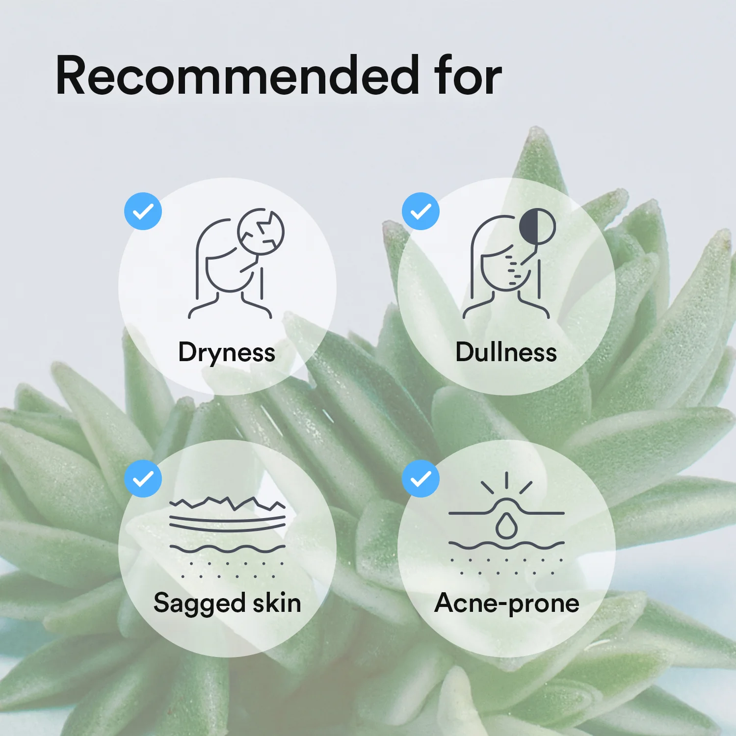 Collagen gel mask Sedum jelly - Image 9