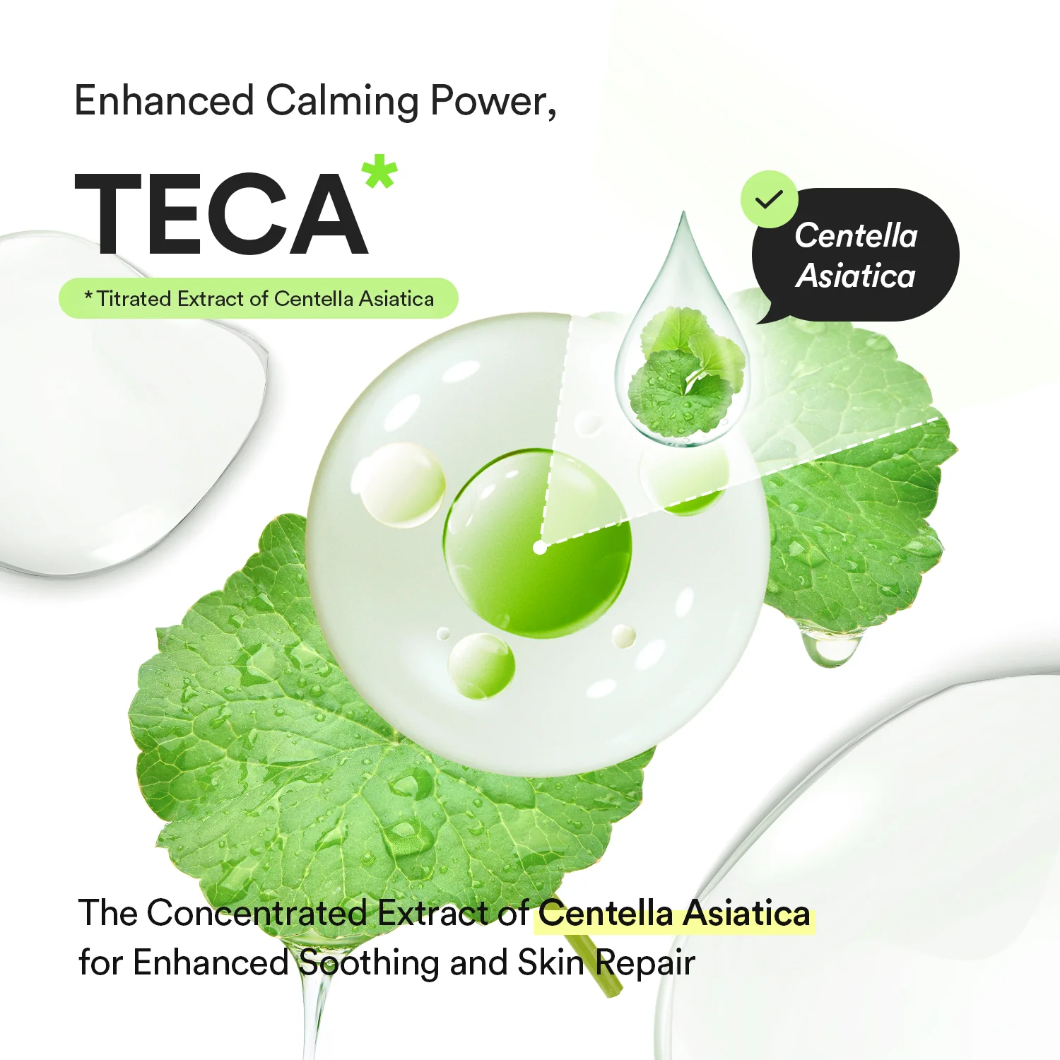 Heartleaf Teca capsule serum Calming drop - Image 7